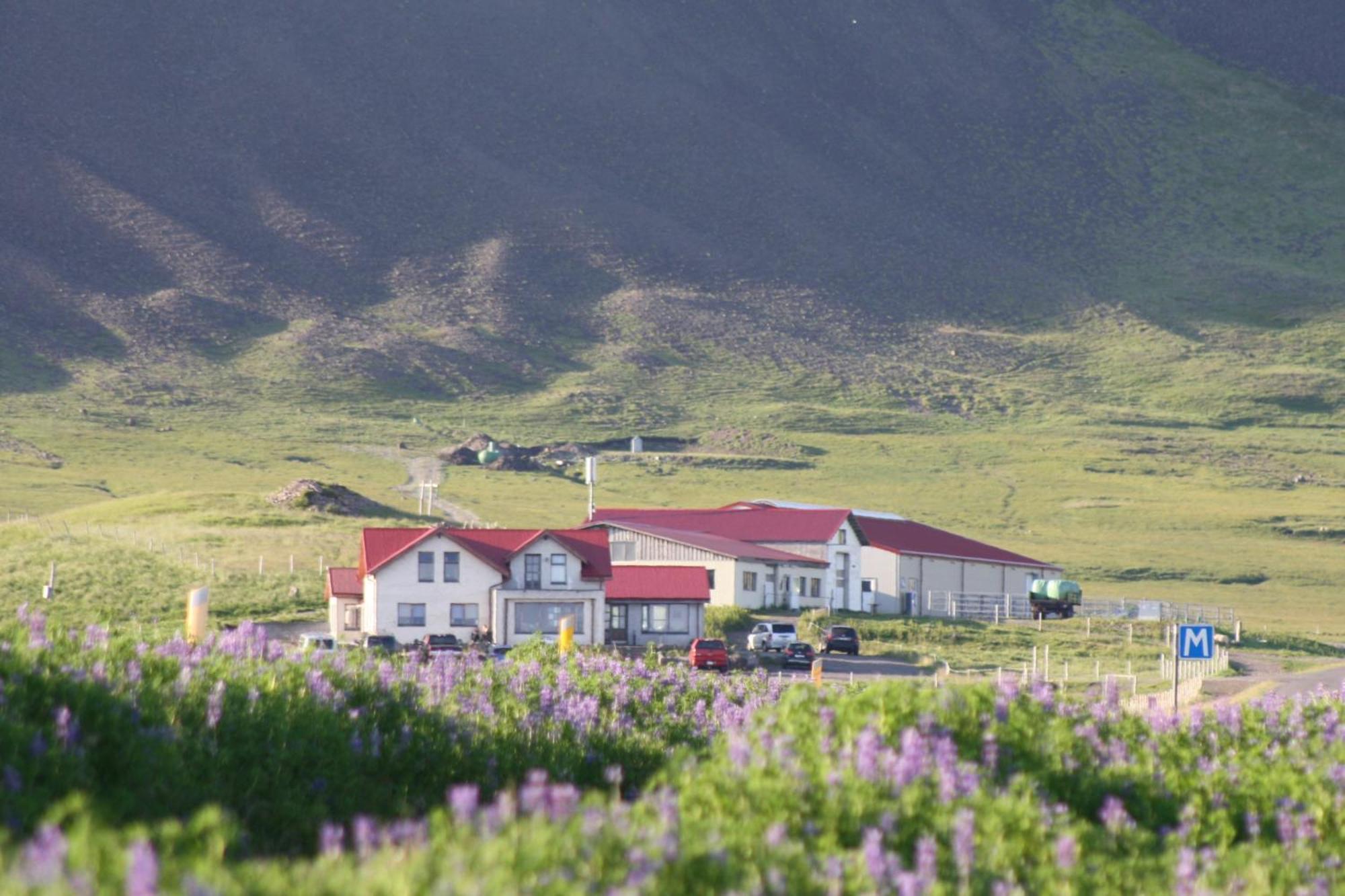 Hotel Lysuholl à Snæfellsbær Extérieur photo